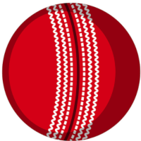 Ball by Ball